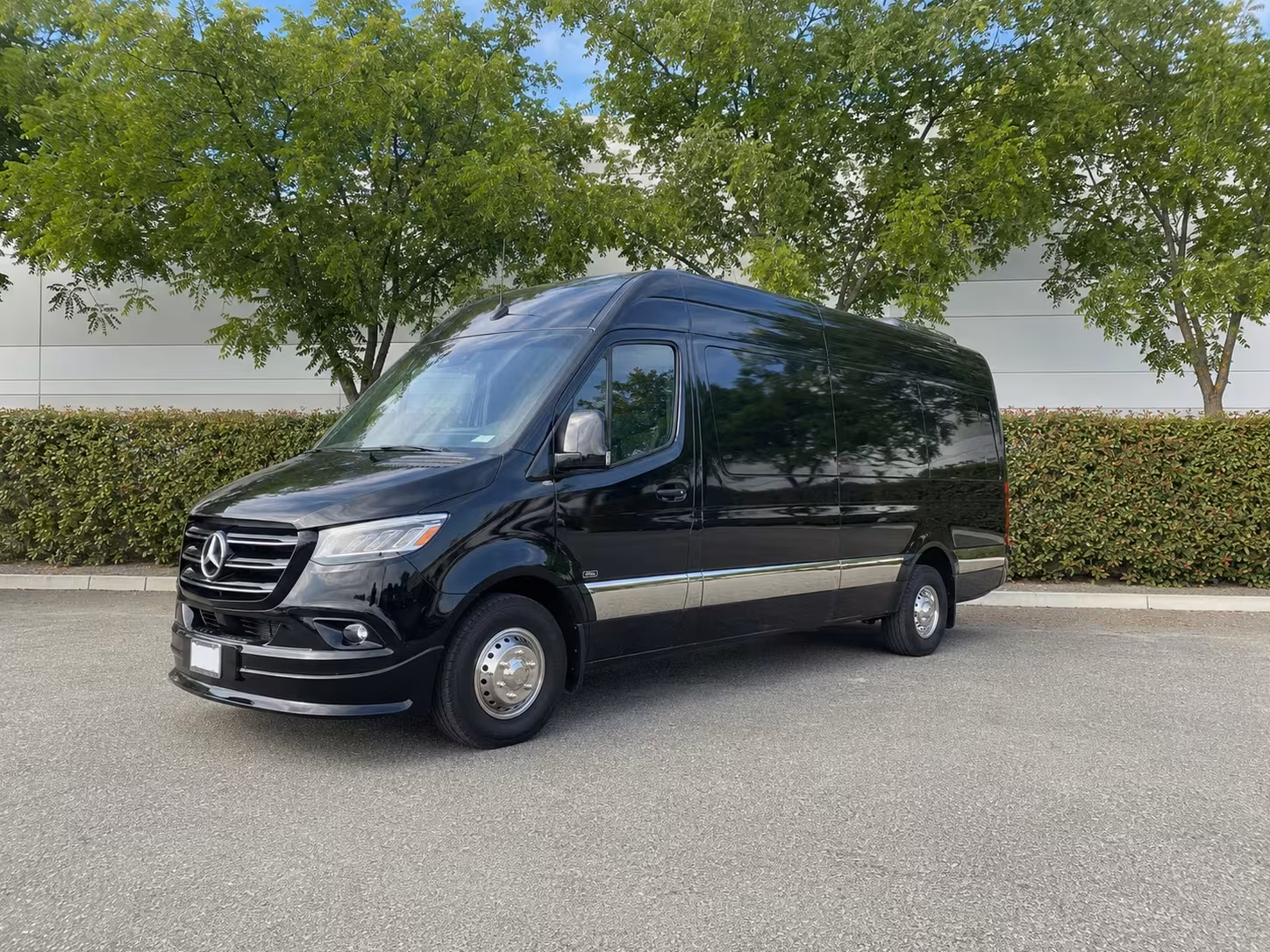 sprinter van with driver